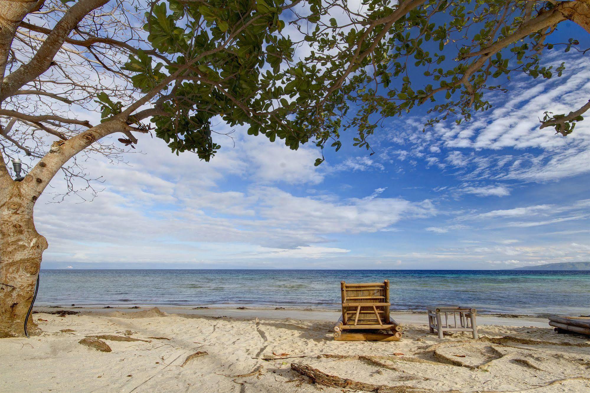 Momo Beach House Hotel Panglao Exterior foto